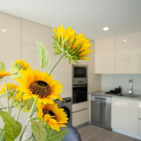 Apartamento T2 Freedom *