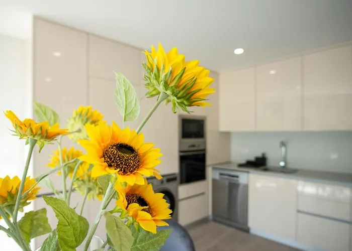 Apartament T2 Freedom *
